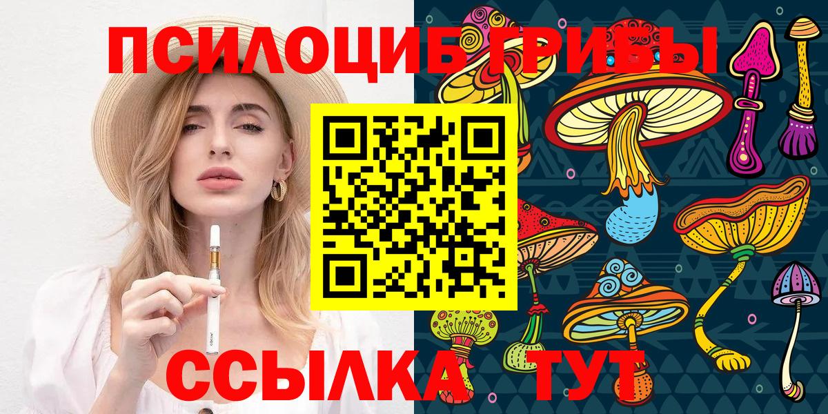Псилоцибиновые грибы Cubensis  Вход с VPN  Псилоцибиновые грибы Psilocybe  Отрадное 