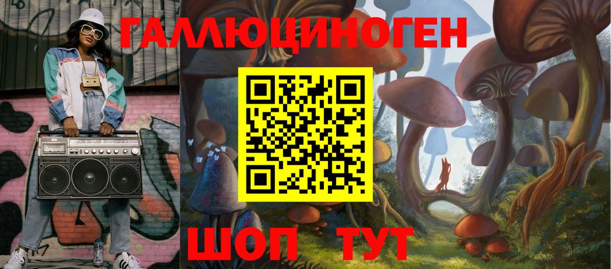 Галлюциногенные грибы Psilocybine cubensis Отрадное