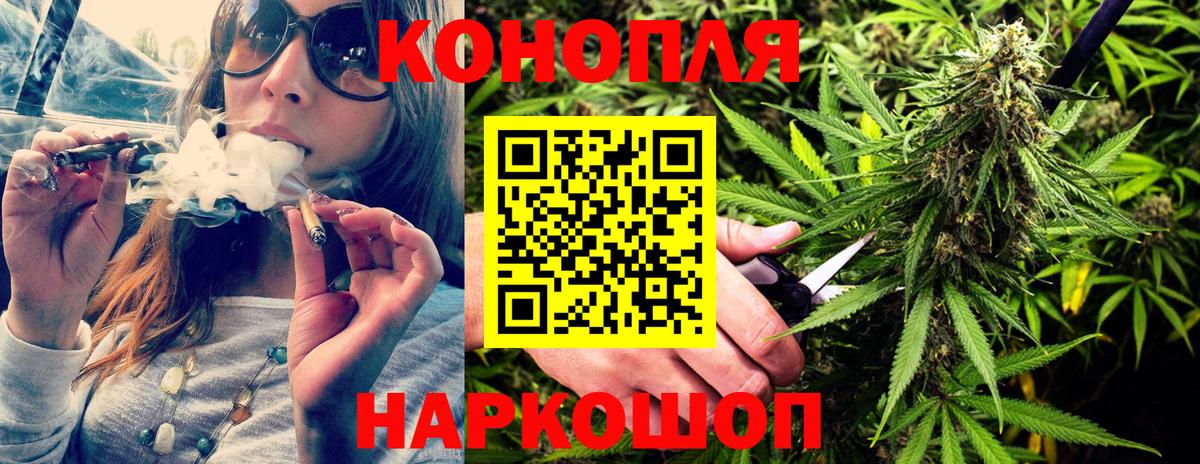 Каннабис индика Отрадное